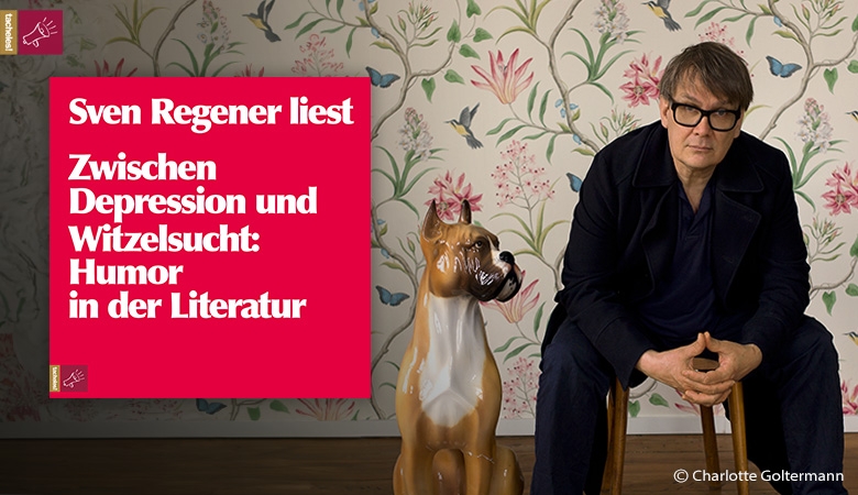 Sven Regener über Humor in der Literatur