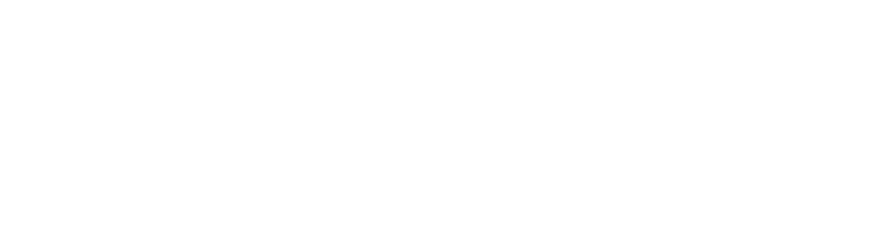 Zebralution-Logo-neu-weiss-klein